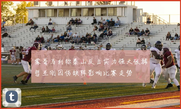 蒙哥马利称泰山反击实力强大张稀哲王刚因伤缺阵影响比赛走势